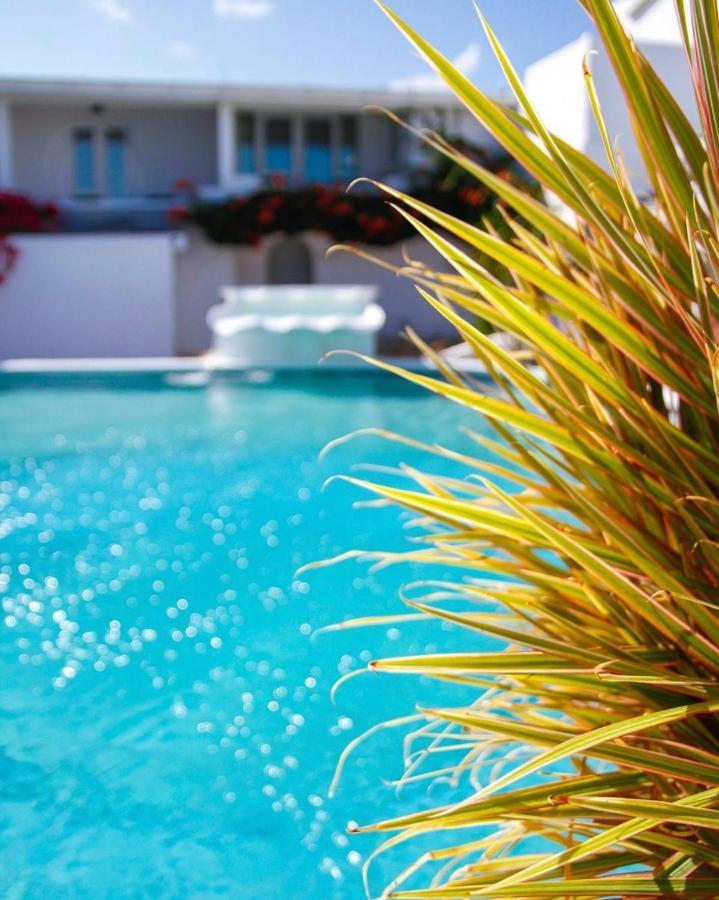 Trade Winds Hotel Dickenson Bay Zewnętrze zdjęcie