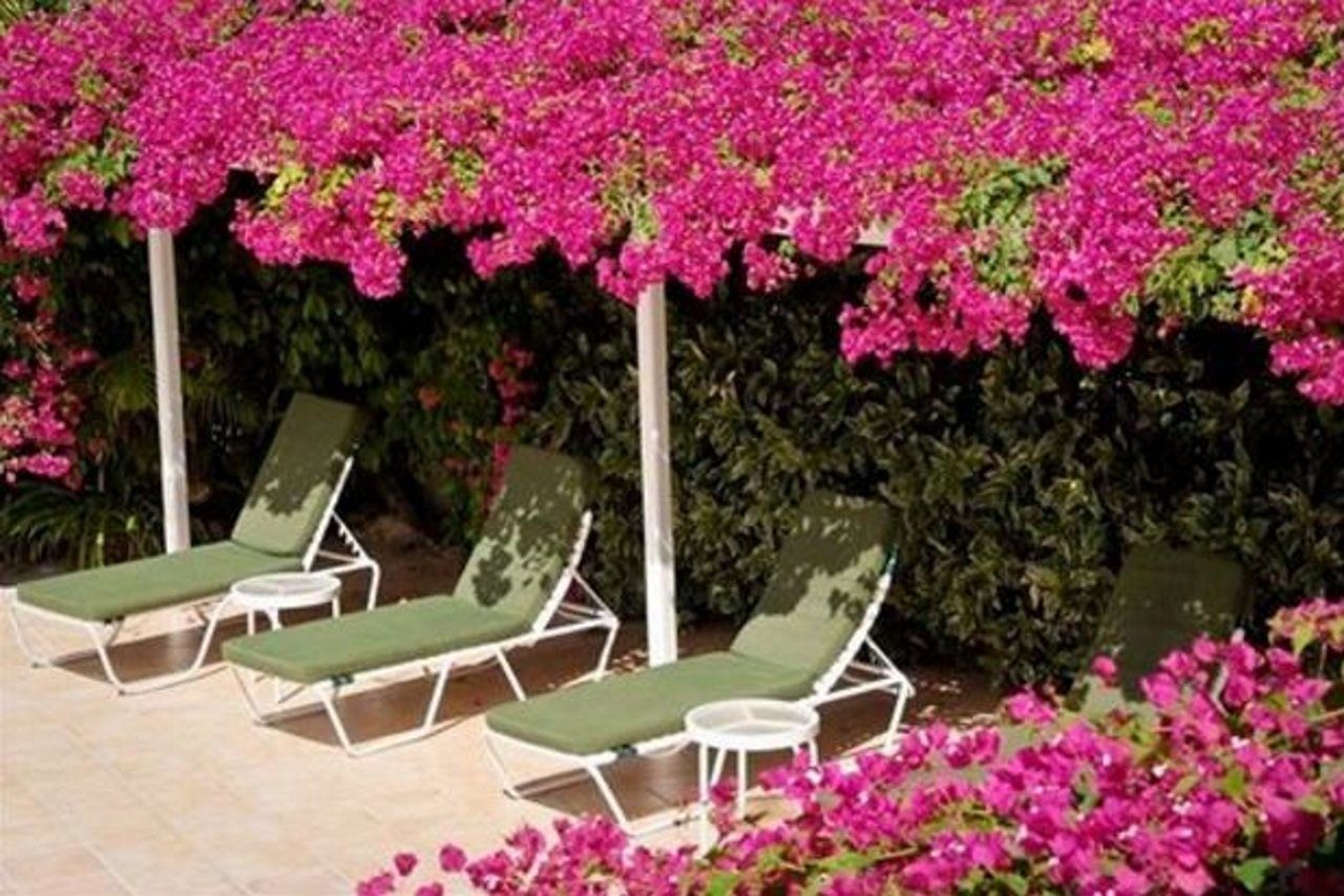 Trade Winds Hotel Dickenson Bay Zewnętrze zdjęcie